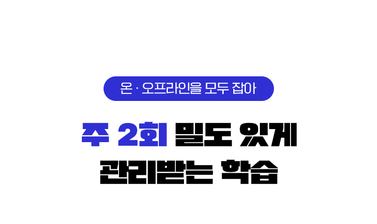 주 2회 밀도 있게 관리받는 학습